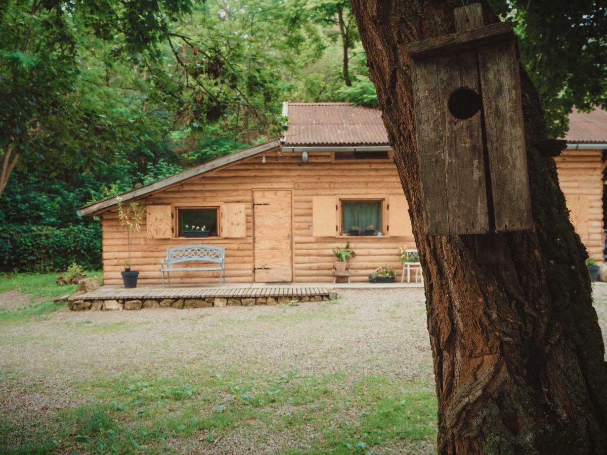 Apartamento Vackorkert Sirok Exterior foto
